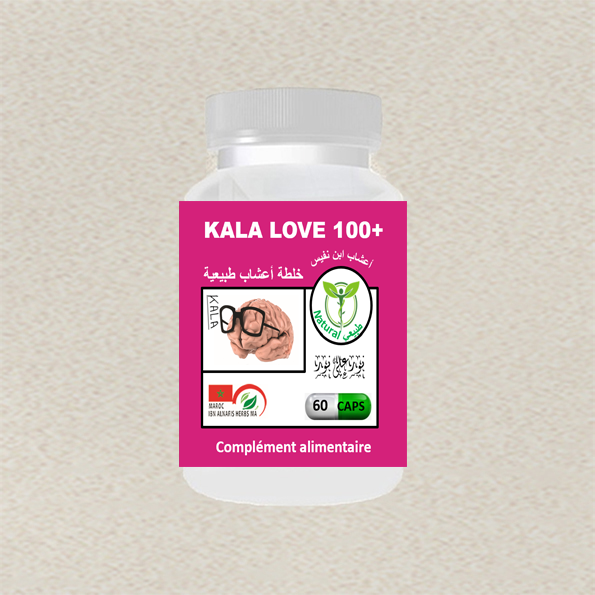 newproduct/dossier/Kl100plus-60.png