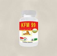 KFM 99